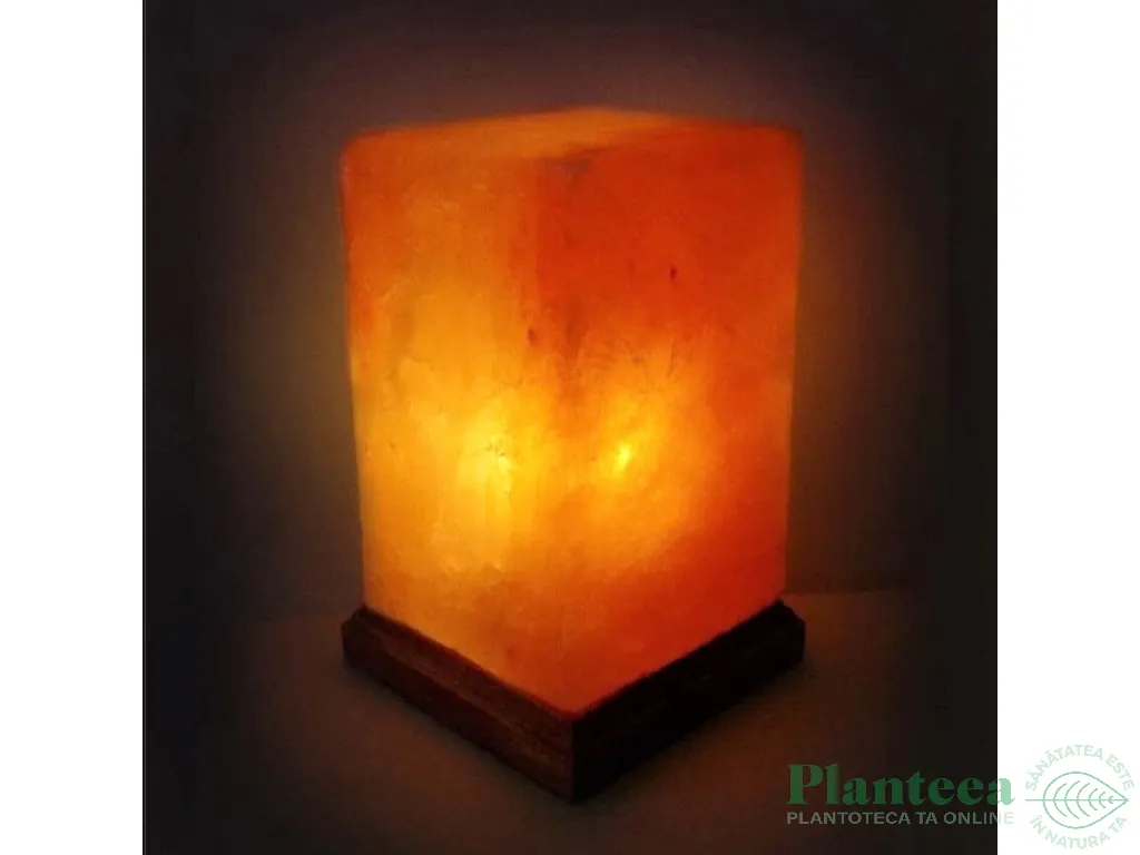 Veioza sare himalaya Prisma suport lemn 4kg - MONTE SALT CRYSTAL