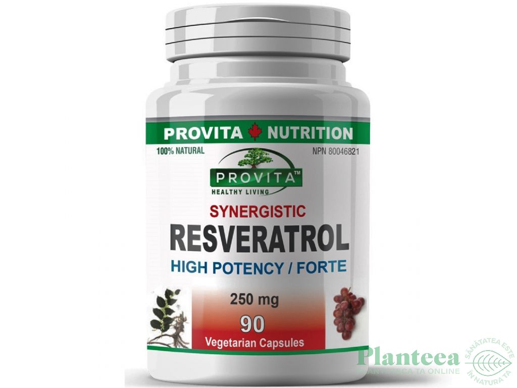 Resveratrol forte 250mg 90cps - PROVITA NUTRITION