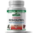 Resveratrol forte 250mg 90cps - PROVITA NUTRITION