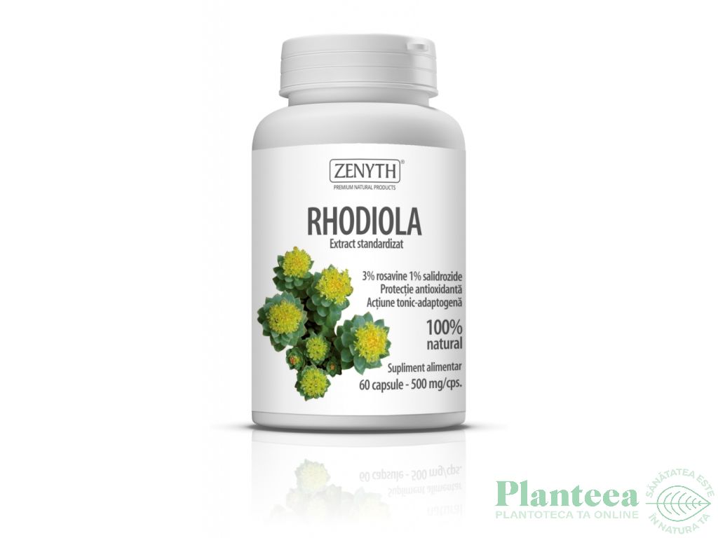 Rhodiola extract 500mg 60cps - ZENYTH