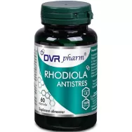 Rhodiola Antistres 60cps - DVR PHARM