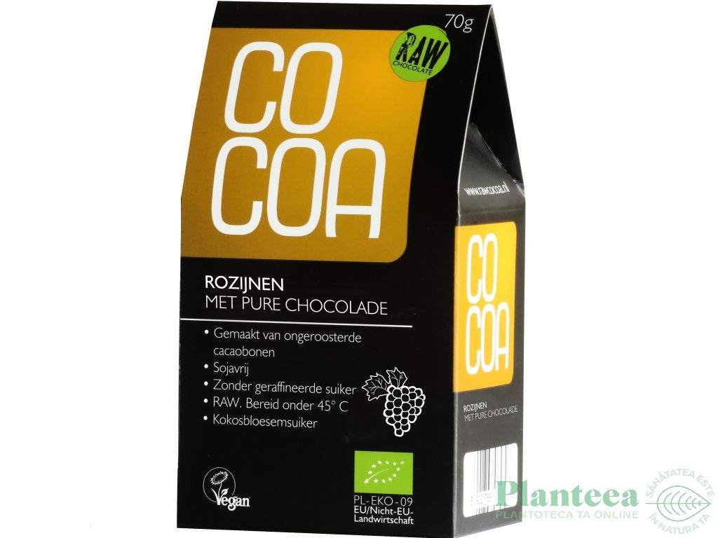 Stafide in ciocolata neagra raw eco 70g - COCOA