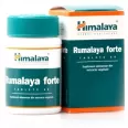 Rumalaya forte 60cp - HIMALAYA HERBAL