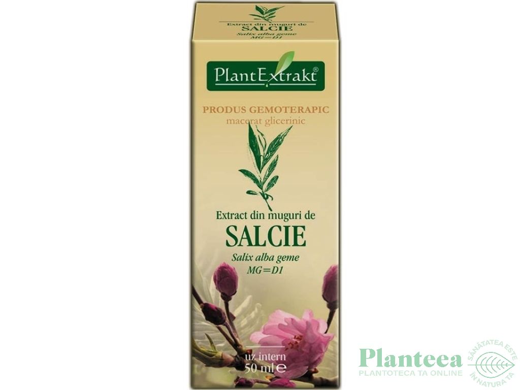 Gemoderivat salcie muguri 50ml - PLANTEXTRAKT