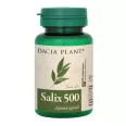 Salix 500 [Aspirina vegetala] 60cp - DACIA PLANT