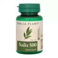 Salix 500mg 60cp - DACIA PLANT