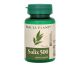 Salix 500 [Aspirina vegetala] 60cp - DACIA PLANT