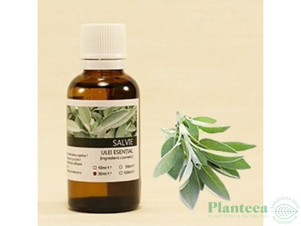 Ulei esential salvie[salvia officinalis] 50ml - SANFLORA