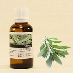 Ulei esential salvie[salvia officinalis] 10ml - SANFLORA