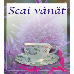 Ceai scai vanat 50g - CYANI