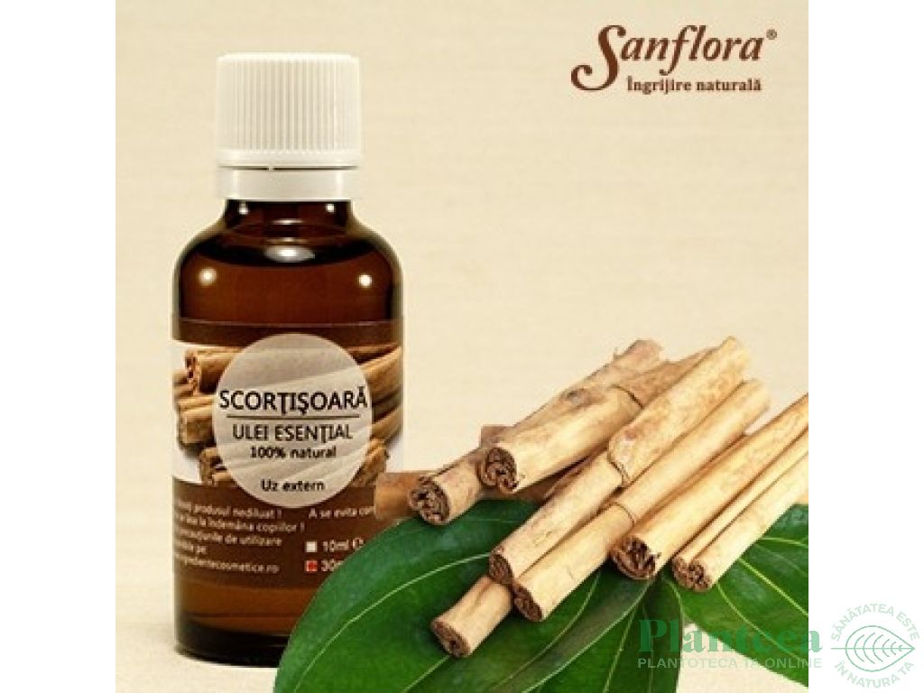 Ulei esential scortisoara 30ml - SANFLORA