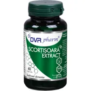 Scortisoara extract 60cps - DVR PHARM