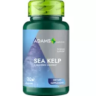Sea kelp 600mg 30cps - ADAMS SUPPLEMENTS
