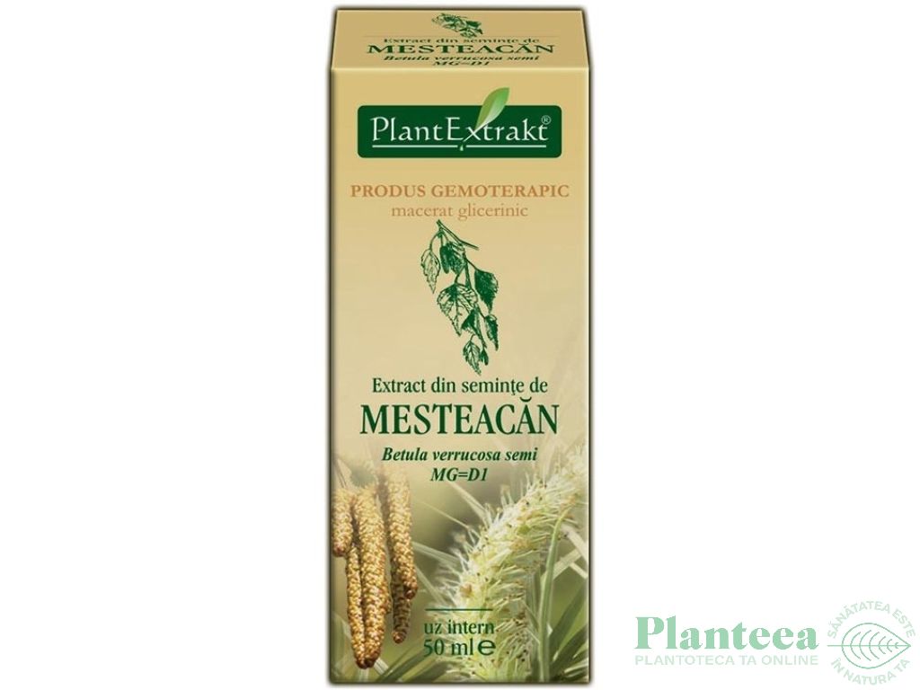 Gemoderivat mesteacan seminte 50ml - PLANTEXTRAKT