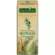 Gemoderivat mesteacan seminte 50ml - PLANTEXTRAKT