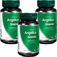 Set Angelica sinensis 3x30cps - DVR PHARM
