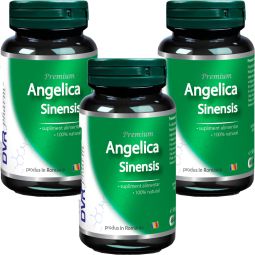 Set Angelica sinensis 3x60cps - DVR PHARM