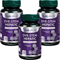 Set DVR Stem Hepatic 3x30cps - DVR PHARM
