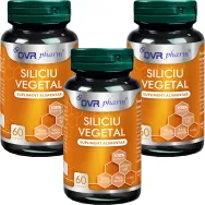 Set Siliciu vegetal 3x60cps - DVR PHARM