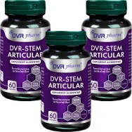 Set Stem Articular 3x60cps - DVR PHARM