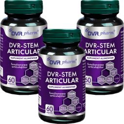 Set Stem Articular 3x60cps - DVR PHARM