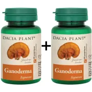 Ganoderma 120cp - DACIA PLANT