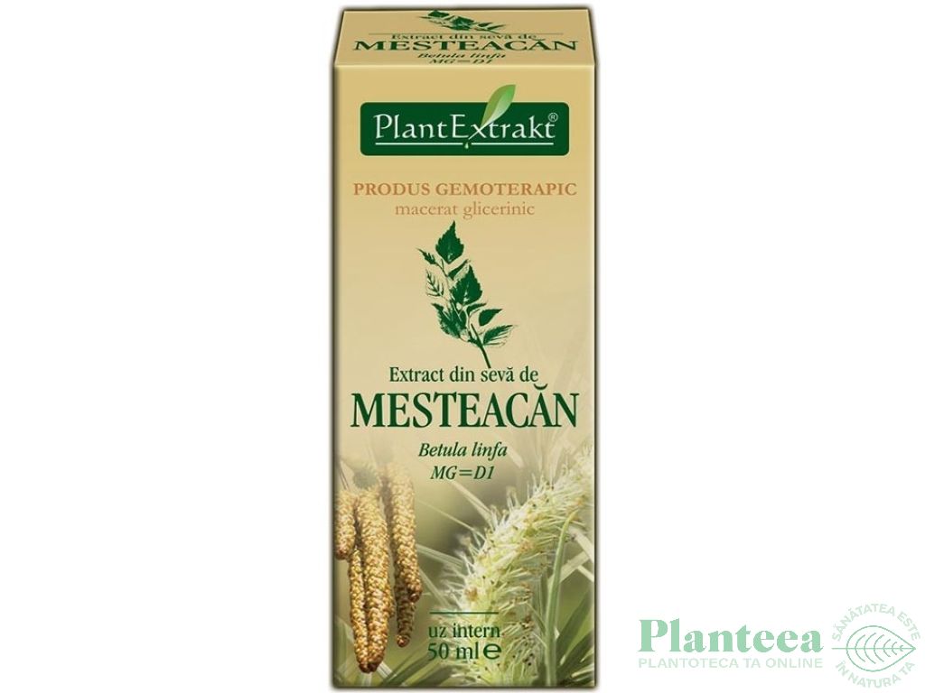 Gemoderivat mesteacan seva 50ml - PLANTEXTRAKT