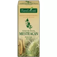 Gemoderivat mesteacan seva 50ml - PLANTEXTRAKT