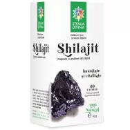 Shilajit 60cps - SANTO RAPHAEL