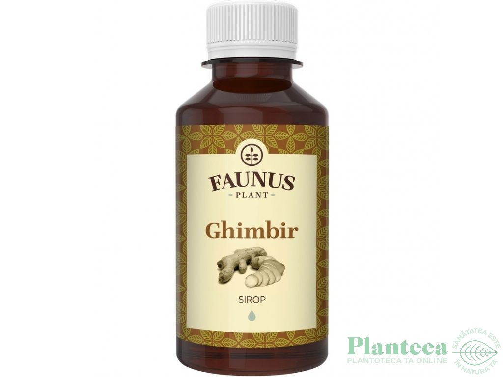 Sirop ghimbir 200ml - FAUNUS PLANT