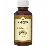 Sirop ghimbir 200ml - FAUNUS PLANT