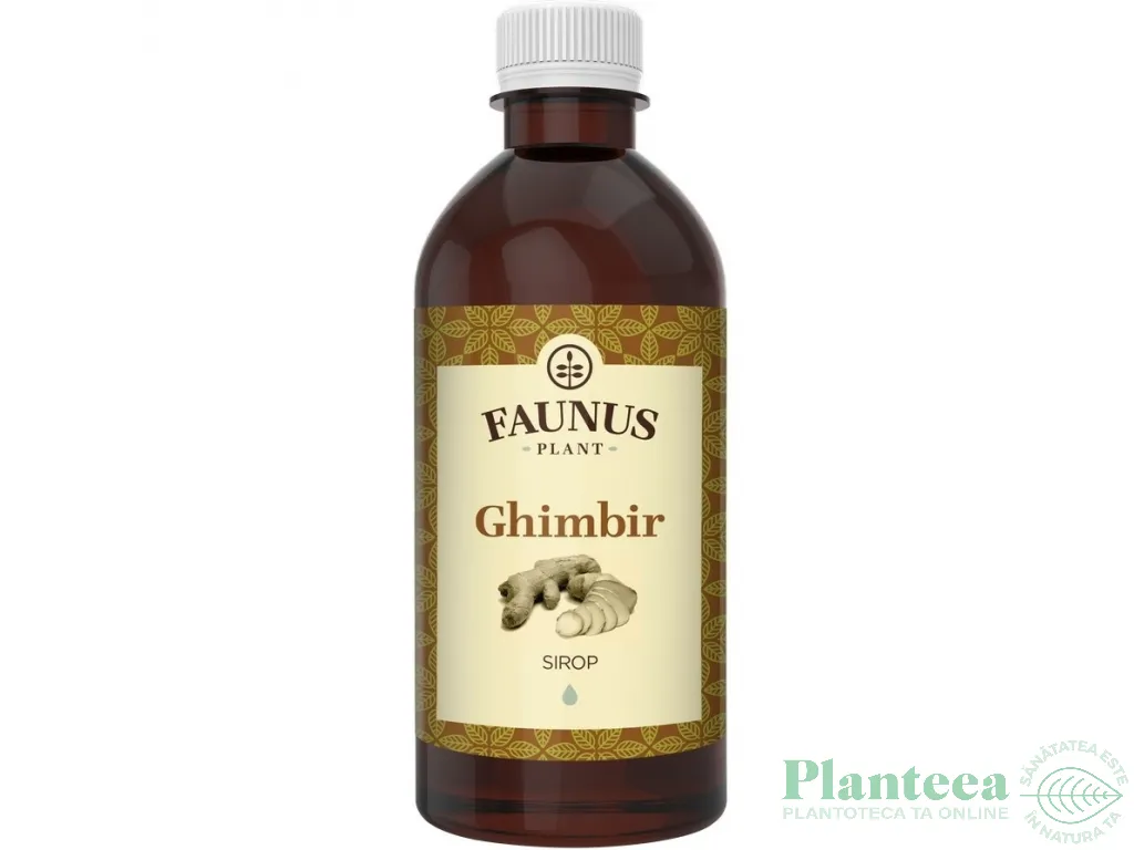 Sirop ghimbir 500ml - FAUNUS
