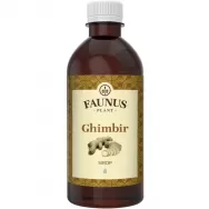 Sirop ghimbir 500ml - FAUNUS PLANT