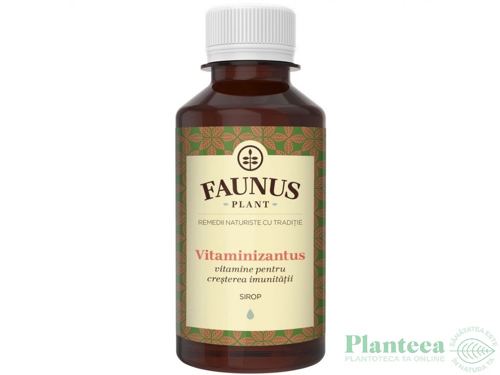 Sirop Vitaminizantus 200ml - FAUNUS PLANT