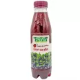 Sirop afine 500ml - PLAFAR