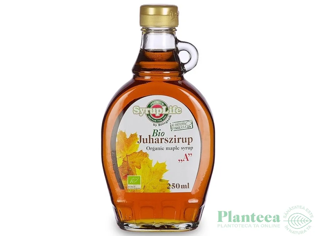Indulcitor sirop artar grad A eco 250ml - BIORGANIK