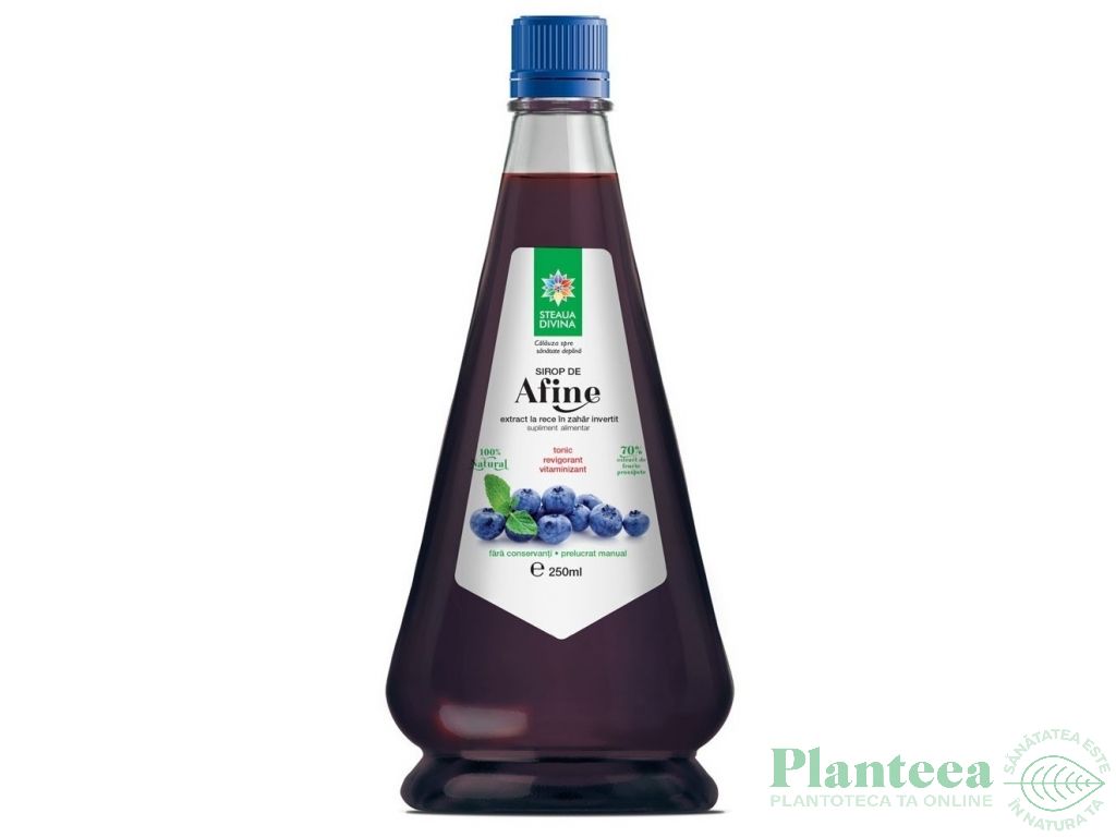 Sirop afine 250ml - SANTO RAPHAEL