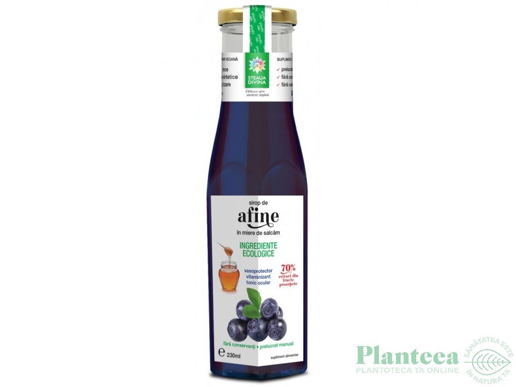 Sirop afine in miere 230ml - SANTO RAPHAEL