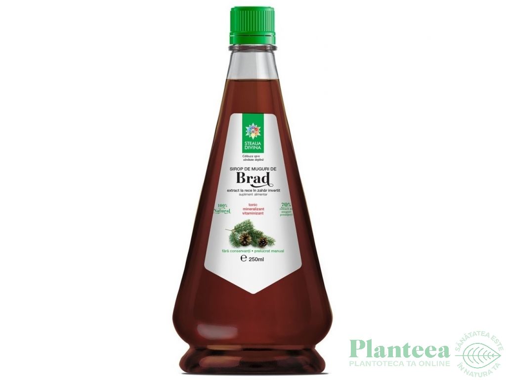 Sirop muguri brad 250ml - SANTO RAPHAEL