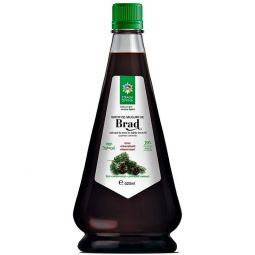 Sirop muguri brad 520ml - SANTO RAPHAEL