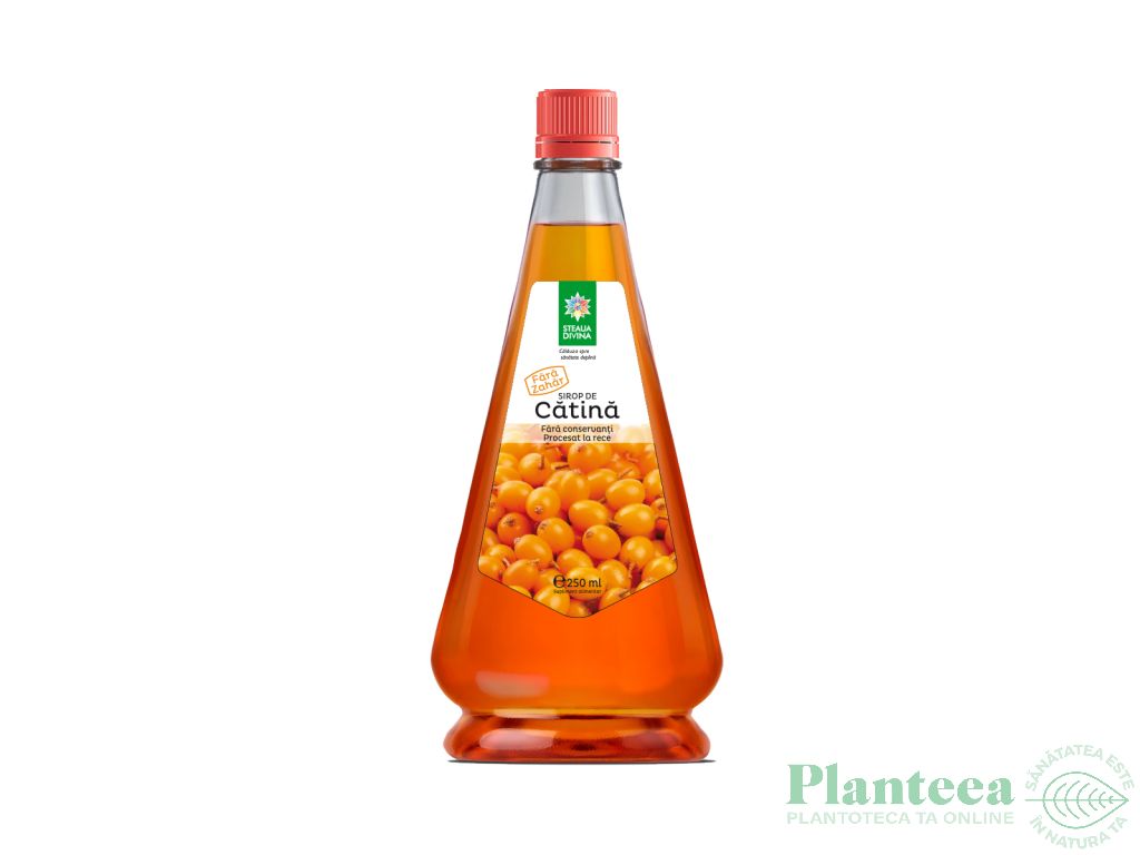 Sirop catina stevie 250ml - SANTO RAPHAEL