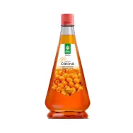 Sirop catina stevie 250ml - SANTO RAPHAEL