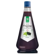 Sirop coacaze negre 250ml - SANTO RAPHAEL