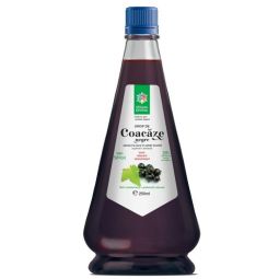 Sirop coacaze negre 250ml - SANTO RAPHAEL