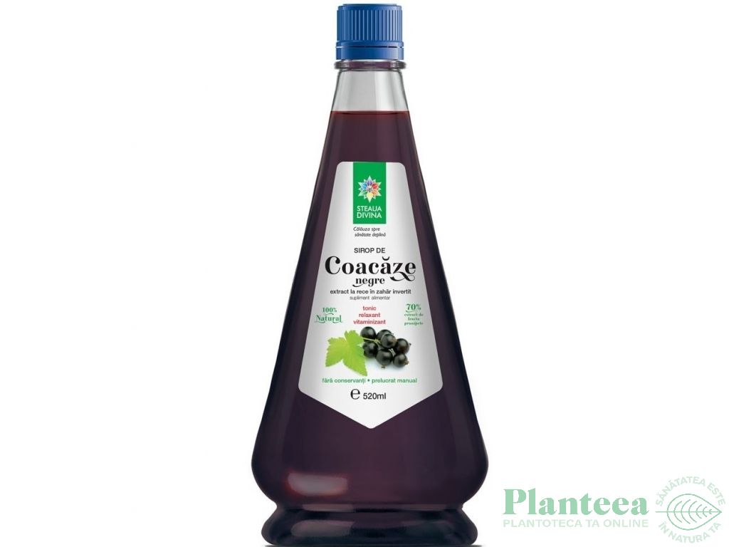 Sirop coacaze negre 520ml - SANTO RAPHAEL