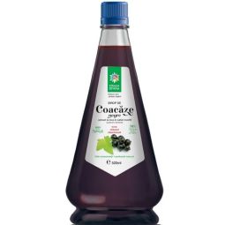 Sirop coacaze negre 520ml - SANTO RAPHAEL