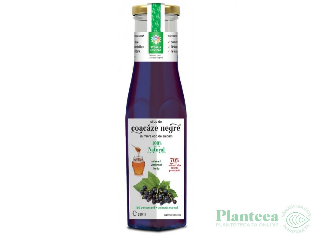 Sirop coacaze negre in miere 230ml - SANTO RAPHAEL