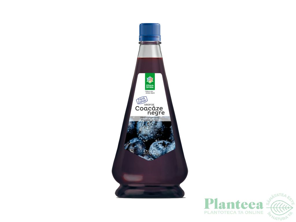 Sirop coacaze negre stevie 250ml - SANTO RAPHAEL