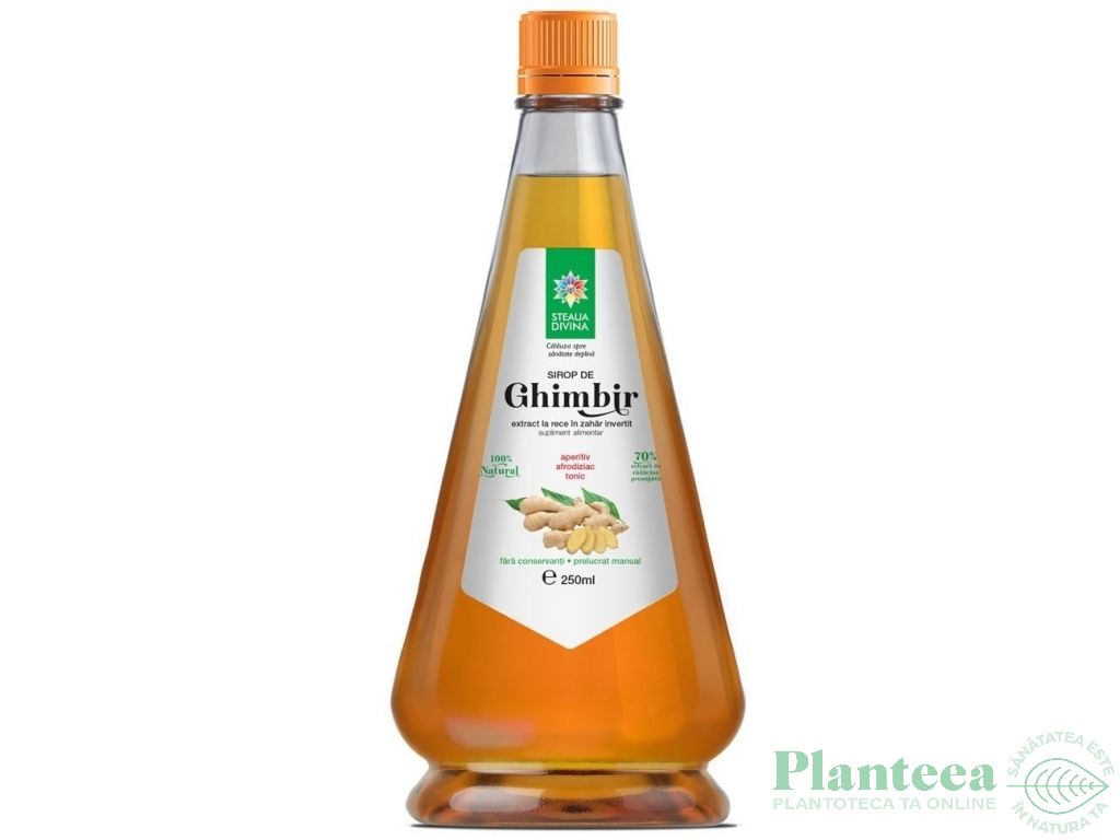 Sirop ghimbir 250ml - SANTO RAPHAEL