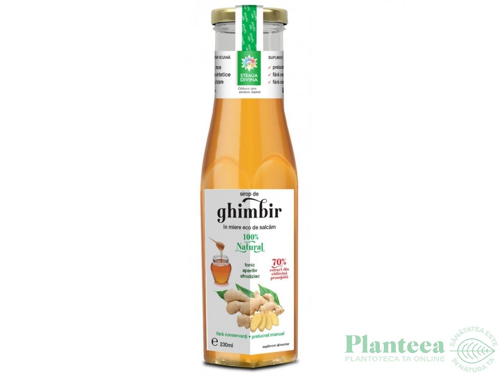 Sirop ghimbir in miere 230ml - SANTO RAPHAEL